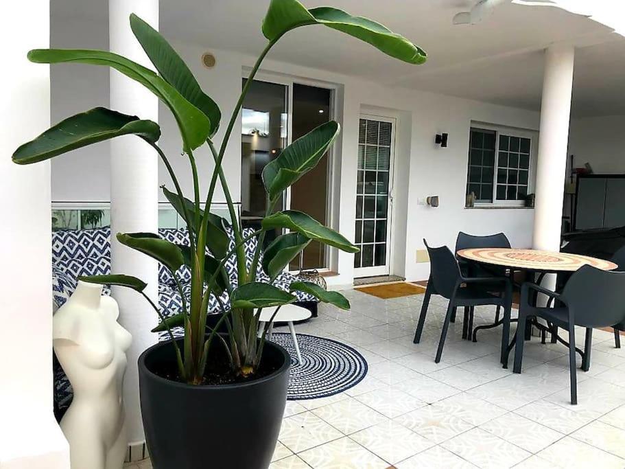 Pura Vida Strandnahes Ferienappartment In Bester Lage! بويرتو ذي لا كروز المظهر الخارجي الصورة